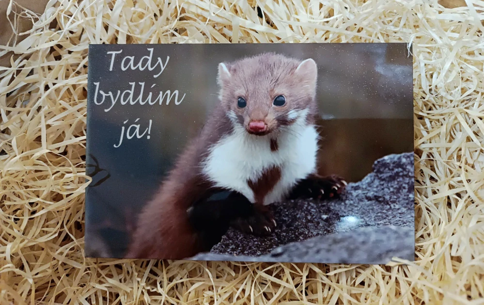 1.Hliníková cedulka s vlastním potiskem