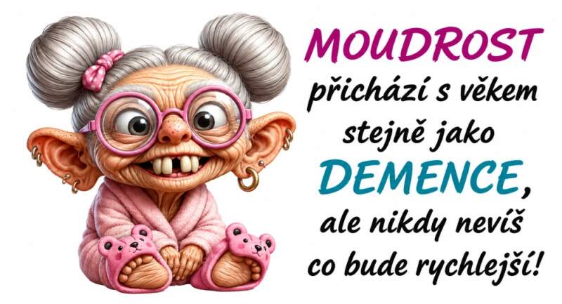 Levně Moudrost přichází s věkem babča (NAŽEHLOVAČKA)