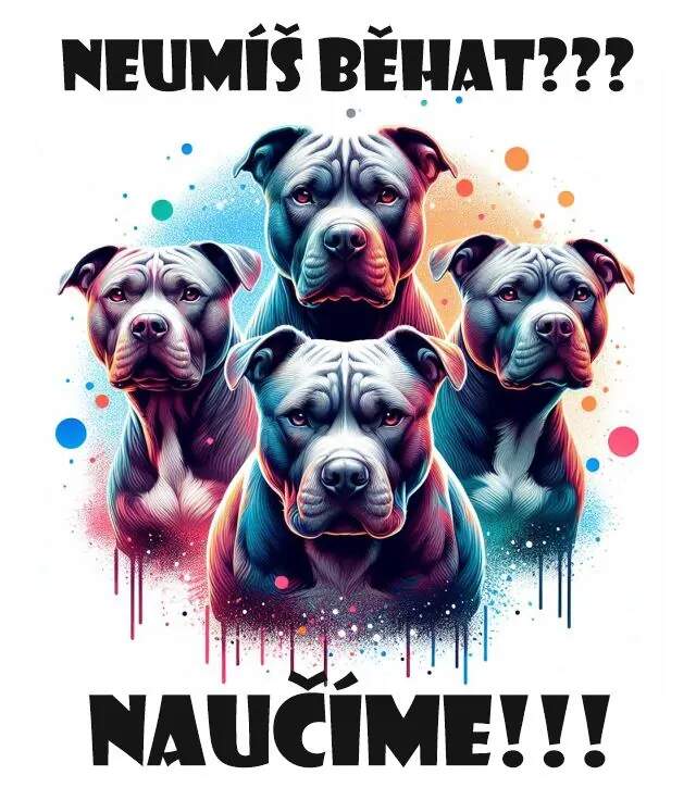 Levně NEUMÍŠ BĚHAT? (NAŽEHLOVAČKA)