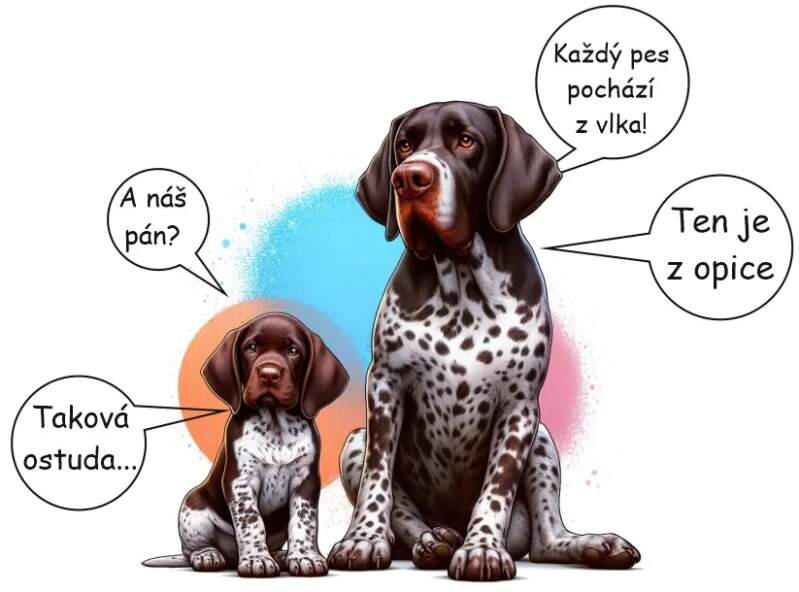 Levně Pes pochází z vlka (NAŽEHLOVAČKA)