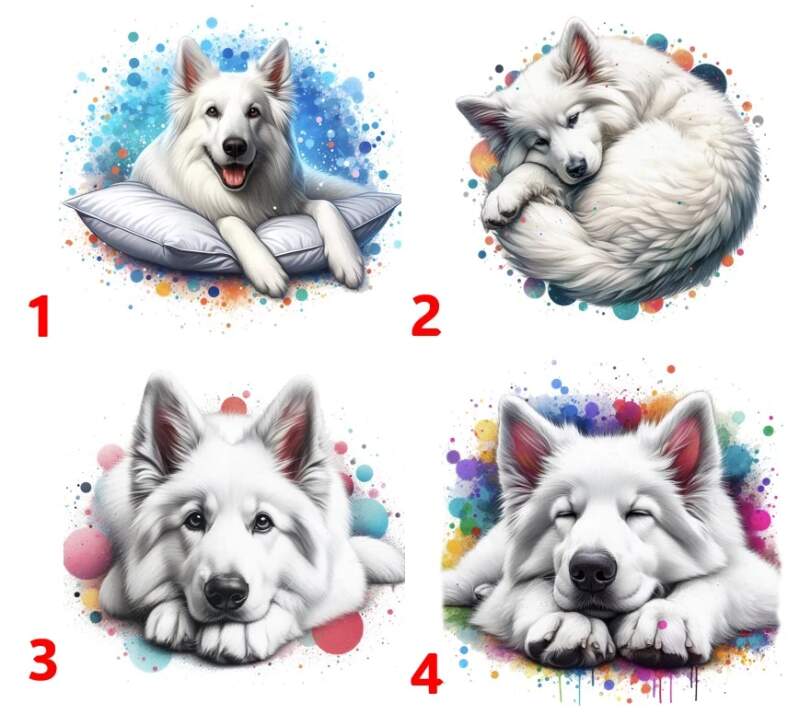 Levně Bílý švýcarský ležící - 4 motivy (Nažehlovačka pes)