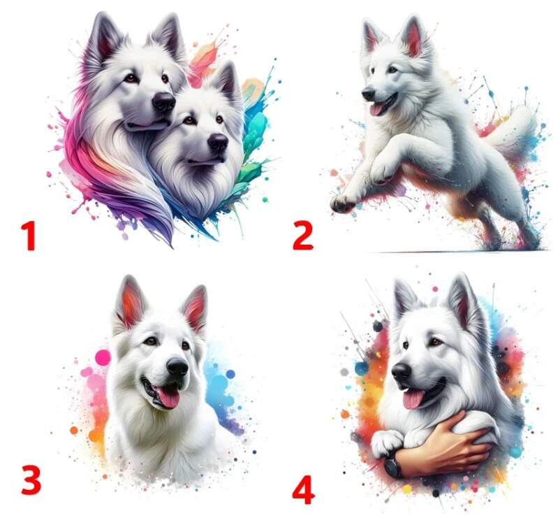 Levně Bílý švýcarský ovčák - 4 motivy (Nažehlovačka pes)