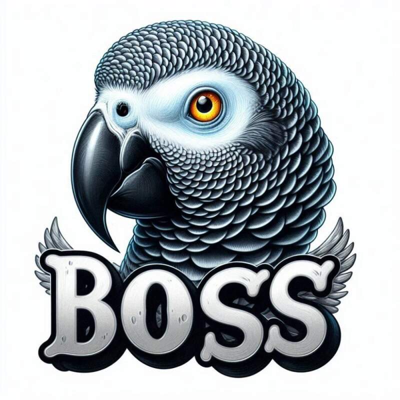 Levně Papoušek žako boss (NAŽEHLOVAČKA)