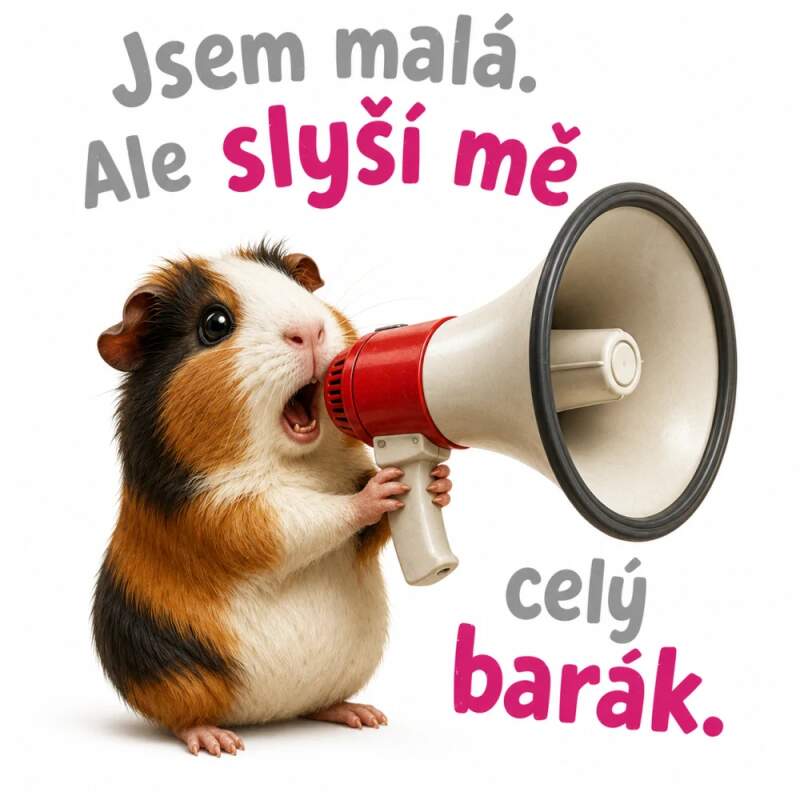 Levně Morče a megafon (NAŽEHLOVAČKA)