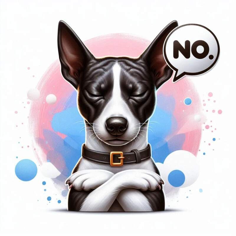 Levně Basenji tricolor NO (NAŽEHLOVAČKA)