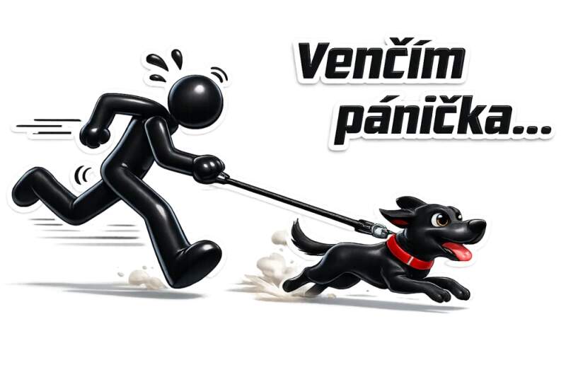 Levně Venčím pánička (NAŽEHLOVAČKA)