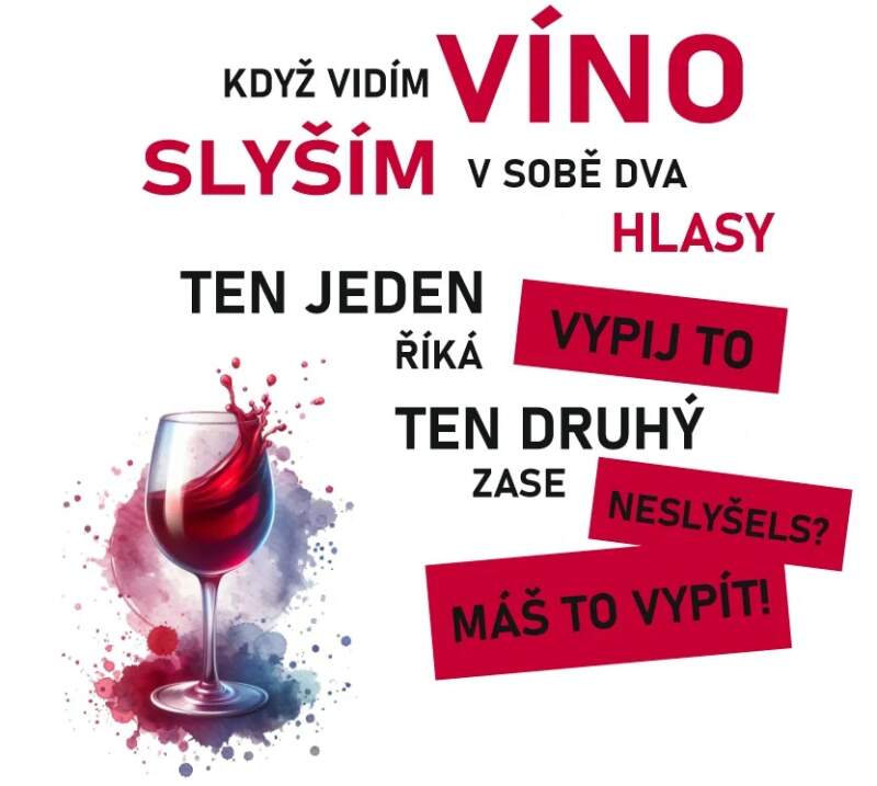 Levně Když vidím víno (NAŽEHLOVAČKA)