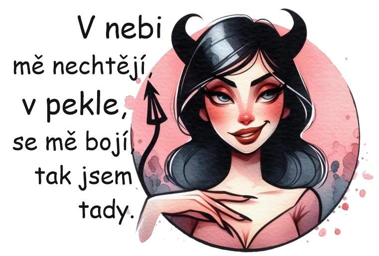 Levně V nebi mě nechtějí (Nažehlovačka hlášky)