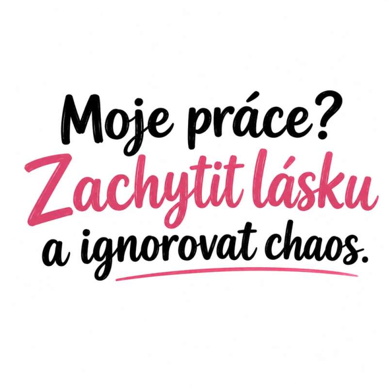 Levně Svatební fotograf (NAŽEHLOVAČKA)