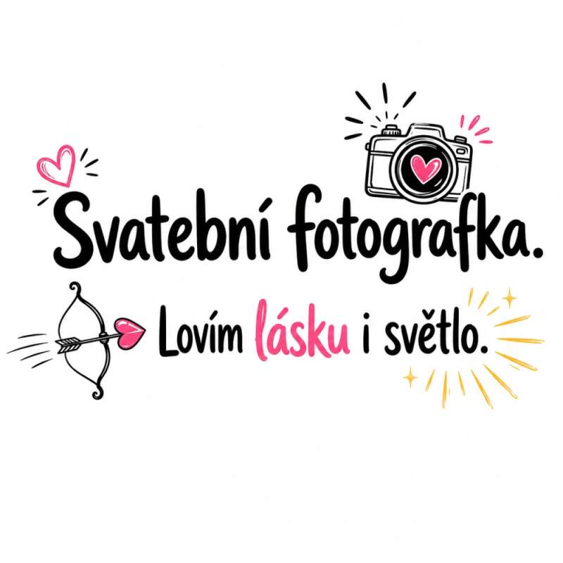Levně Svatební fotografka (NAŽEHLOVAČKA)