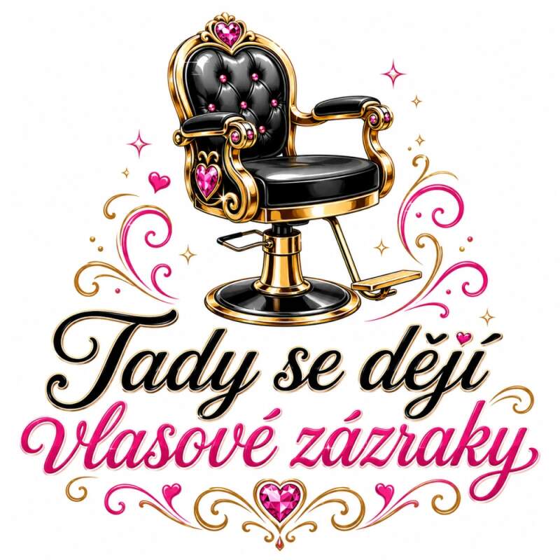 Levně Kadeřnické křeslo a zázraky (NAŽEHLOVAČKA)
