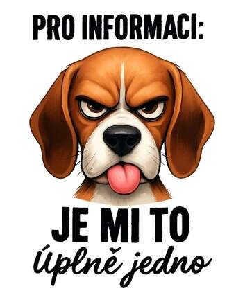 Levně Bígl - je mi to jedno (NAŽEHLOVAČKA)