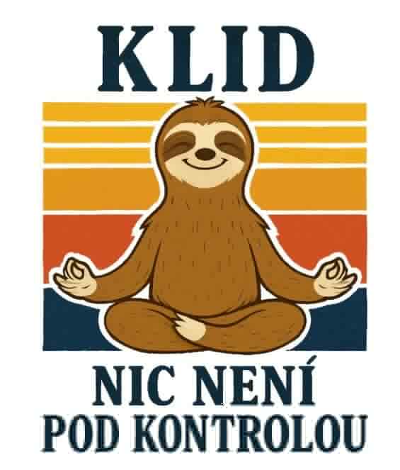 Levně Lenochod - buď v klidu (NAŽEHLOVAČKA)