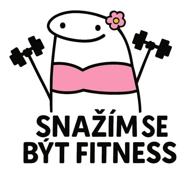 Levně Snažím se být fitness (NAŽEHLOVAČKA)