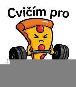 Levně Cvičím pro pizzu (NAŽEHLOVAČKA)