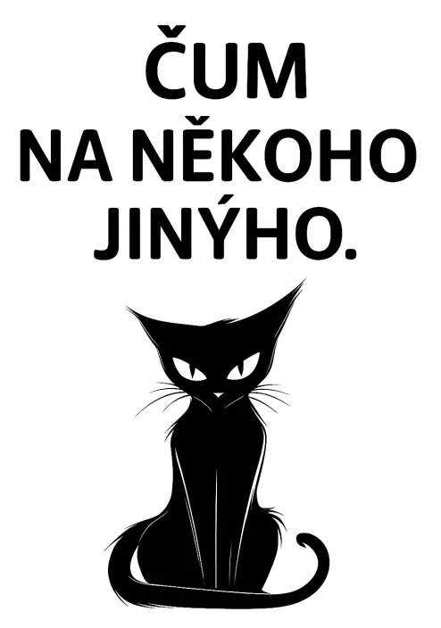 Levně Kočka - čum na někoho jiného (NAŽEHLOVAČKA)