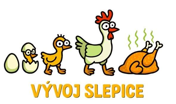 Levně Vývoj slepice (NAŽEHLOVAČKA)