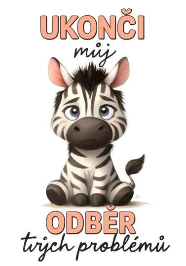 Levně Zebra a problémy (NAŽEHLOVAČKA)