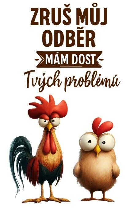 Levně Kohout a slepice (NAŽEHLOVAČKA)