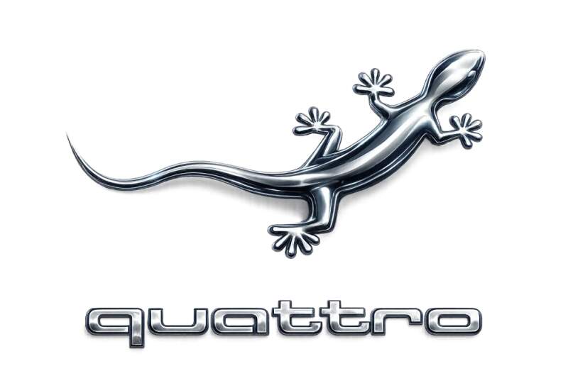 Levně Audi quatro (NAŽEHLOVAČKA)