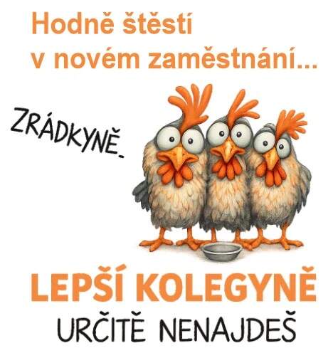Levně Zrádkyně - slepice (Nažehlovačka květiny)