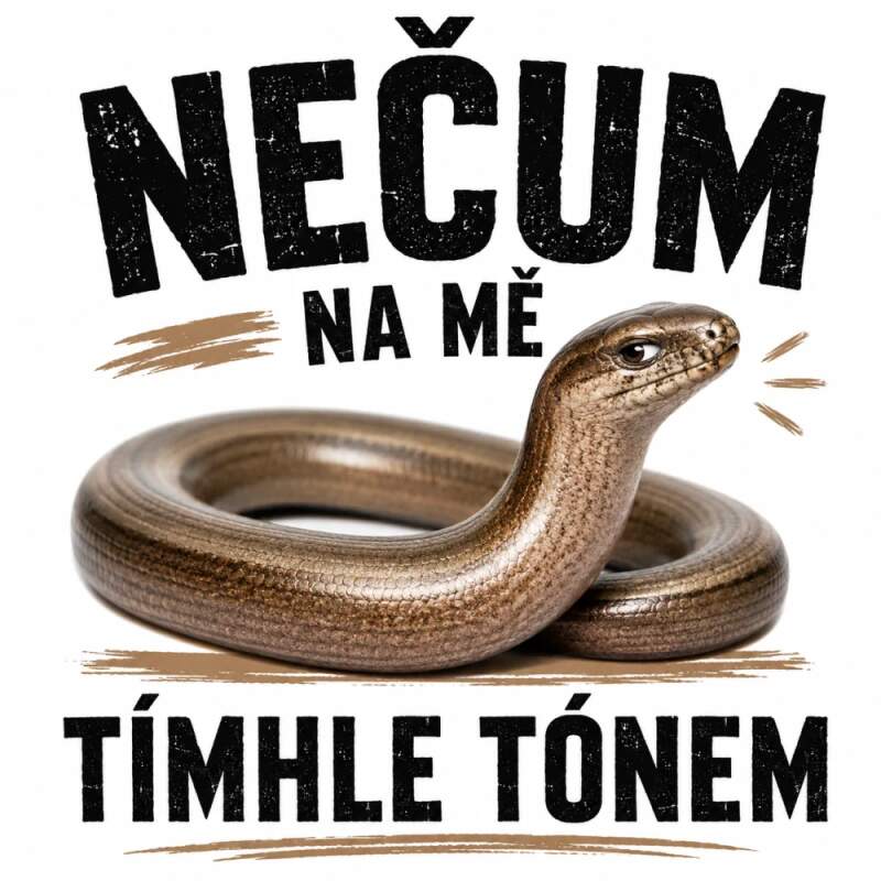 Levně Slepýš - nečum (NAŽEHLOVAČKA)