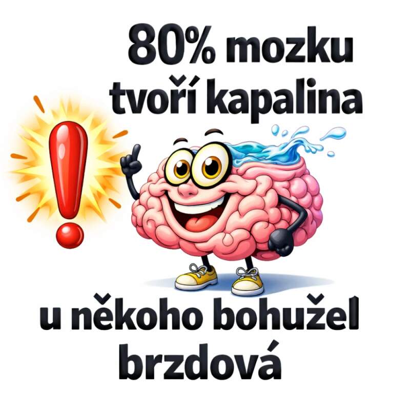 Levně 80% procent mozku tvoří kapalina, u někoho bohužel brzdová (Nažehlovačka hlášky)