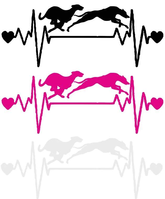 Levně Chrti EKG (NAŽEHLOVAČKA)