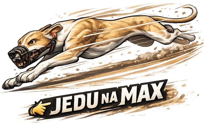 Levně Závodní chrt jedu na max (NAŽEHLOVAČKA)