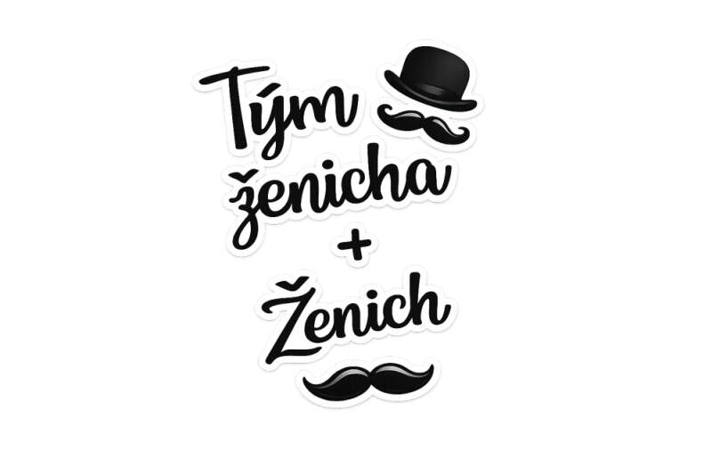 Levně Ženich a tým ženicha (NAŽEHLOVAČKA)