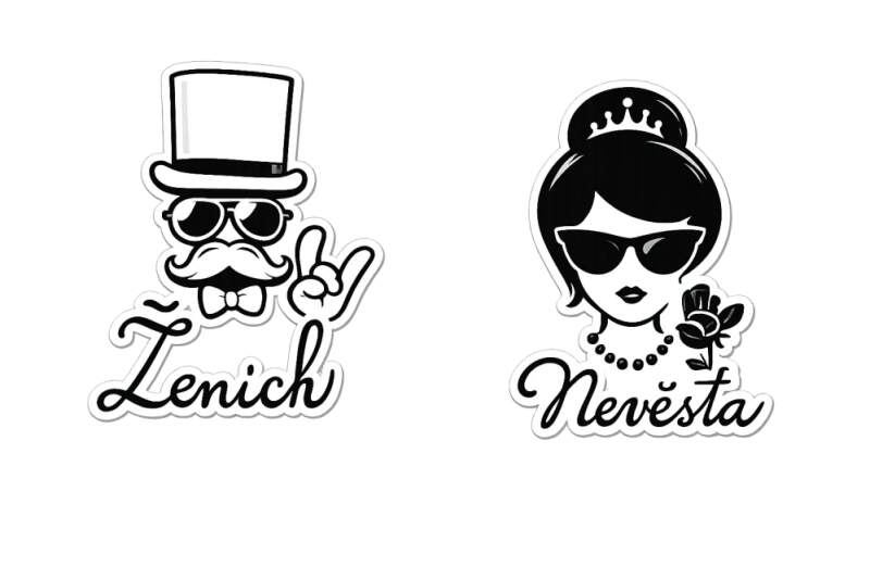 Levně Ženich a nevěsta (NAŽEHLOVAČKA)