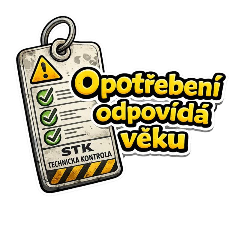 Levně Opotřebení odpovídá věku (NAŽEHLOVAČKA)
