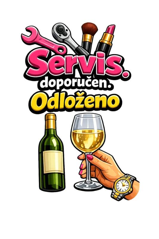 Levně Servis doporučen - odloženo (NAŽEHLOVAČKA)