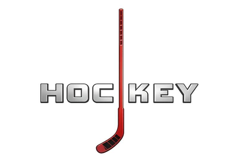 Levně Hokejka - hockey (NAŽEHLOVAČKA)
