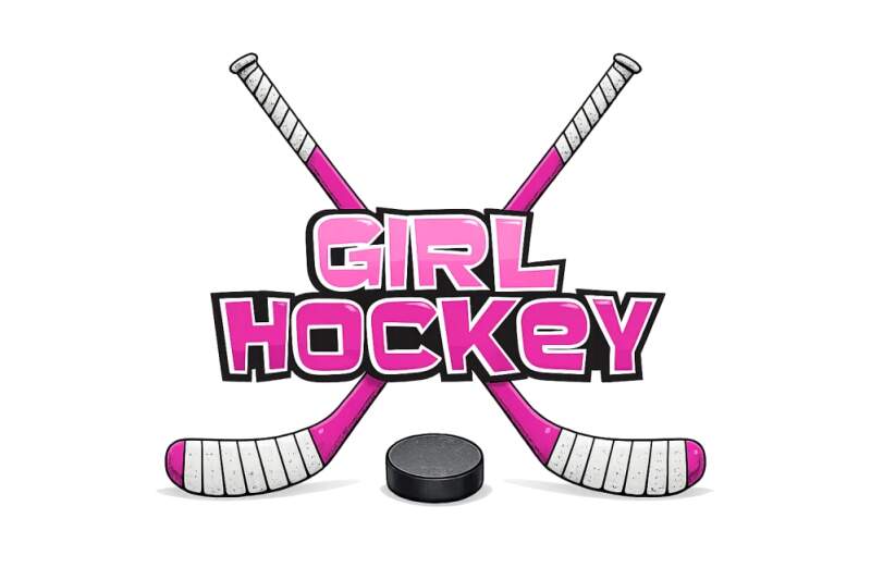 Levně Girl hockey (NAŽEHLOVAČKA)