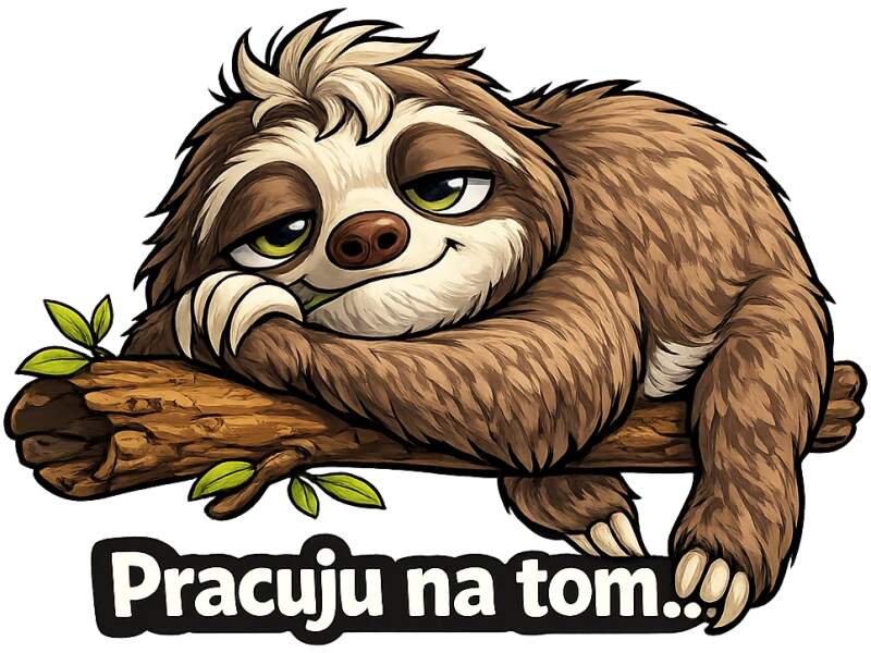 Levně Lenochod - pracuji na tom (NAŽEHLOVAČKA)