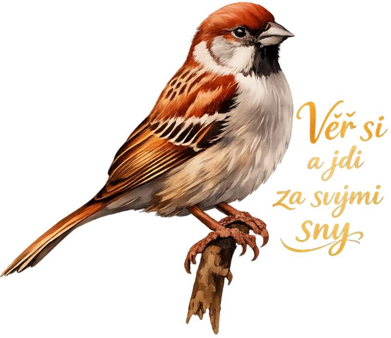 Levně Vrabec - Věř si a jdi za svými sny (NAŽEHLOVAČKA)