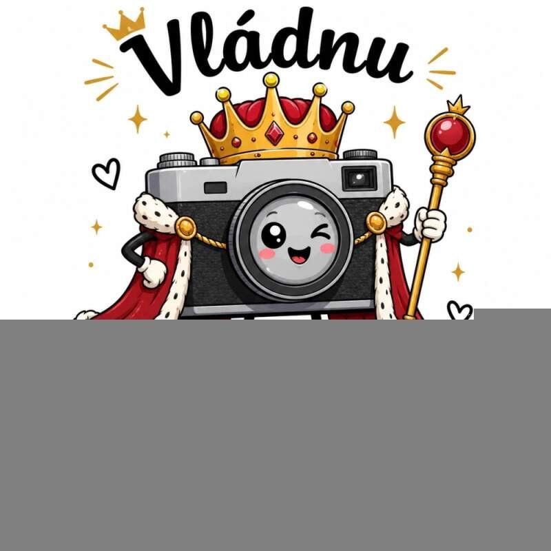 Levně Vládnu světlu, stínům a rodinným fotkám (NAŽEHLOVAČKA)