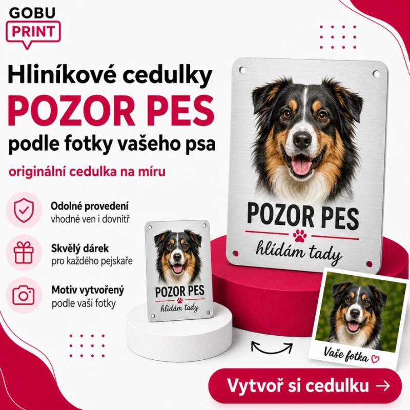 Levně Cedulka Pozor pes z fotky vašeho psa (hliníková cedulka - tady bydlím já)