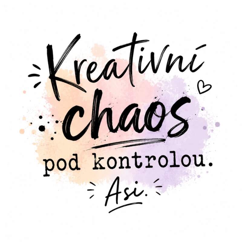 Levně Kreativní chaos pod kontrolou (NAŽEHLOVAČKA)