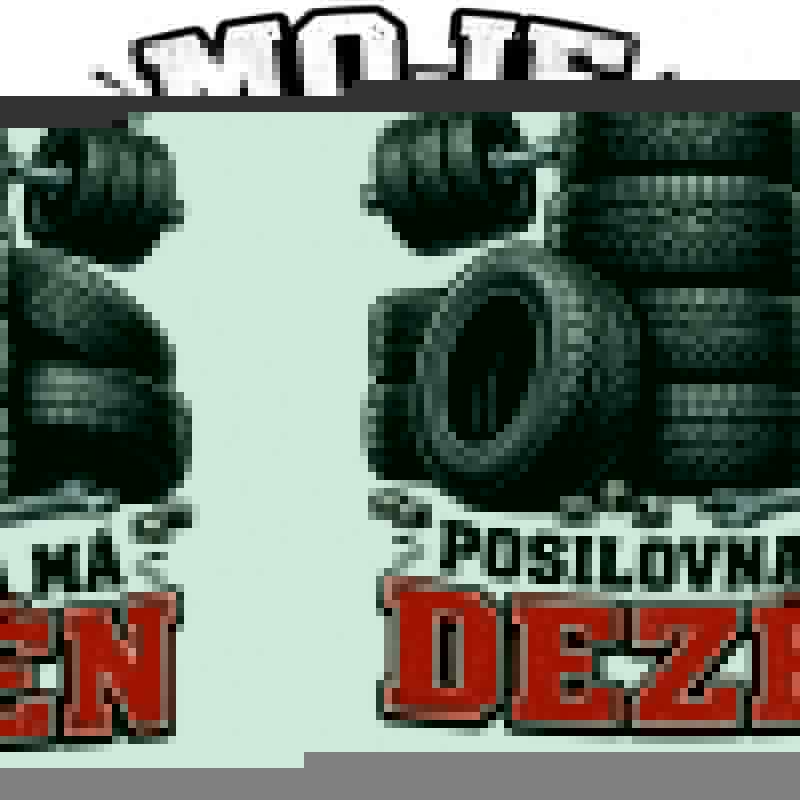 Levně Moje posilovna má dezén (NAŽEHLOVAČKA)