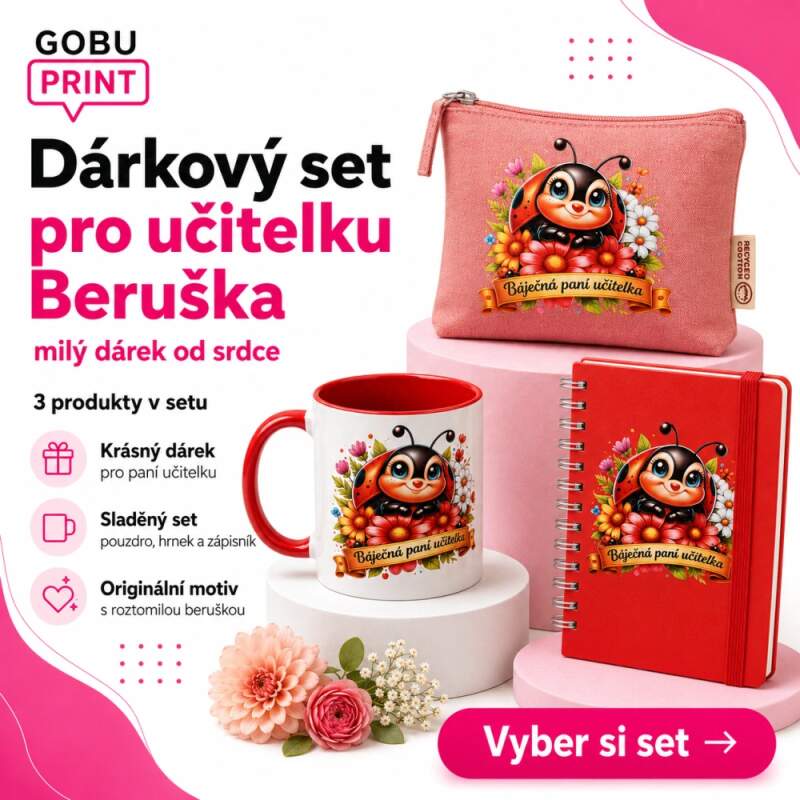 Levně Dárkový set pro učitelku - beruška (Hrnek, pouzdro a zápisník v dárkovém balení)