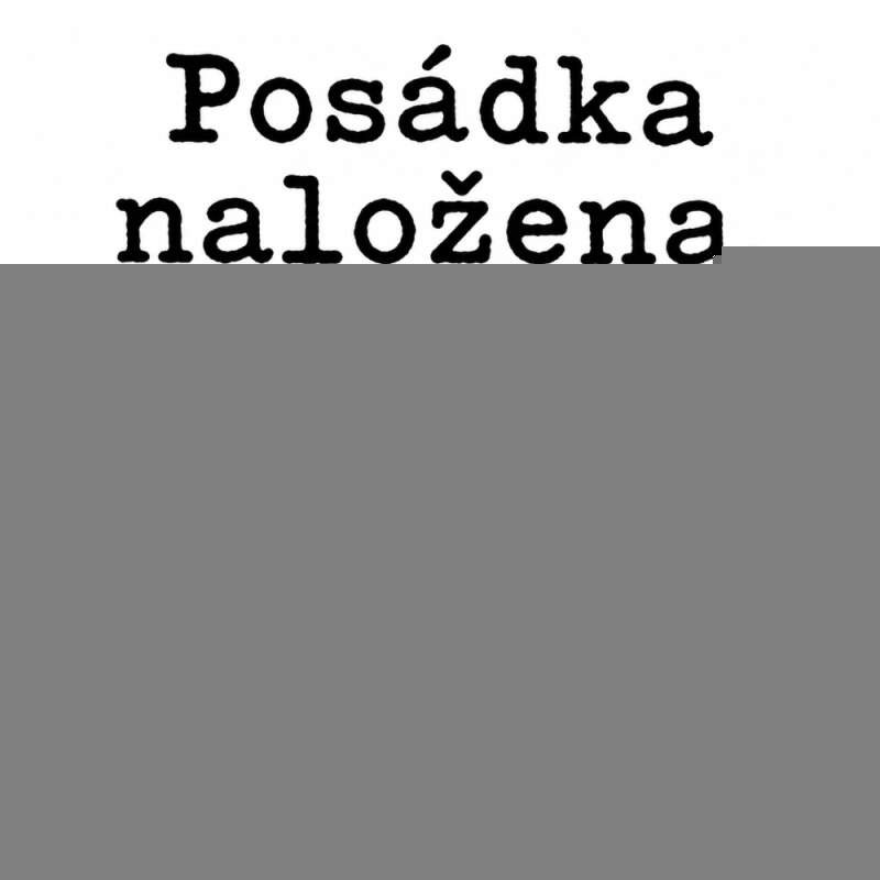 Levně Posádka naložena (NAŽEHLOVAČKA)