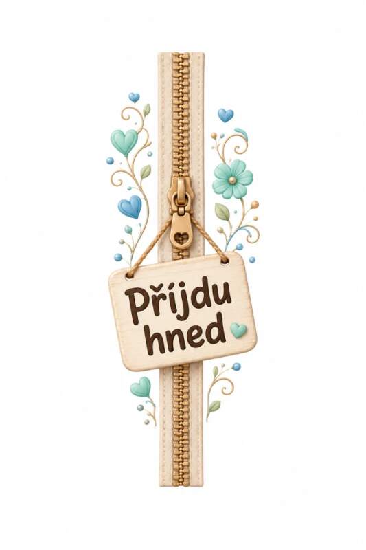 Levně Příjdu hned (NAŽEHLOVAČKA)