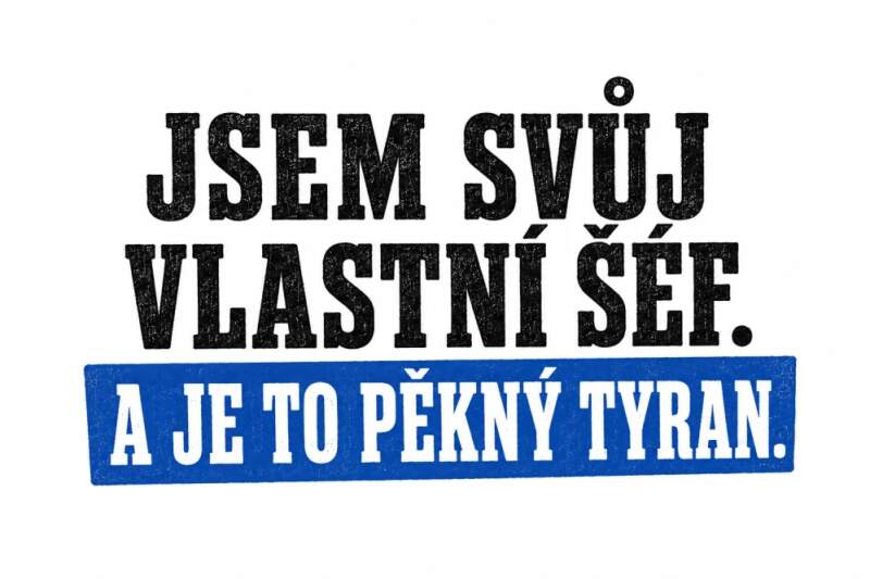 Levně Jsem svůj vlastní šef a je to pěkný tyran (NAŽEHLOVAČKA)