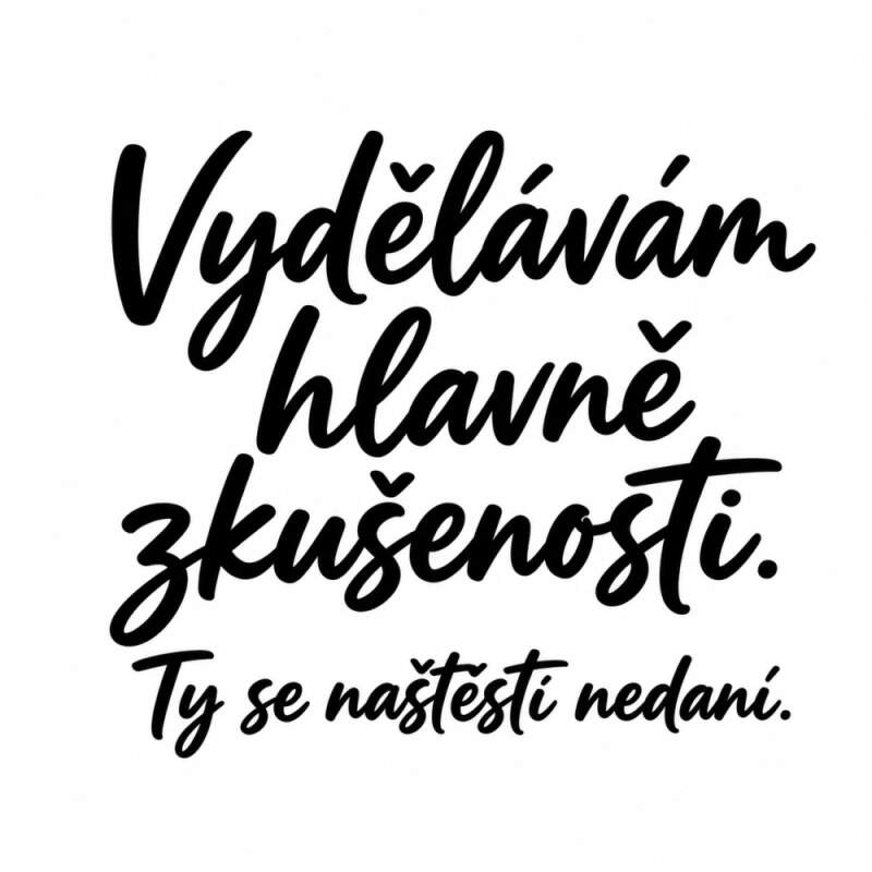 Levně Vydělávám hlavně zkušenosti, ty se nedaní (NAŽEHLOVAČKA)