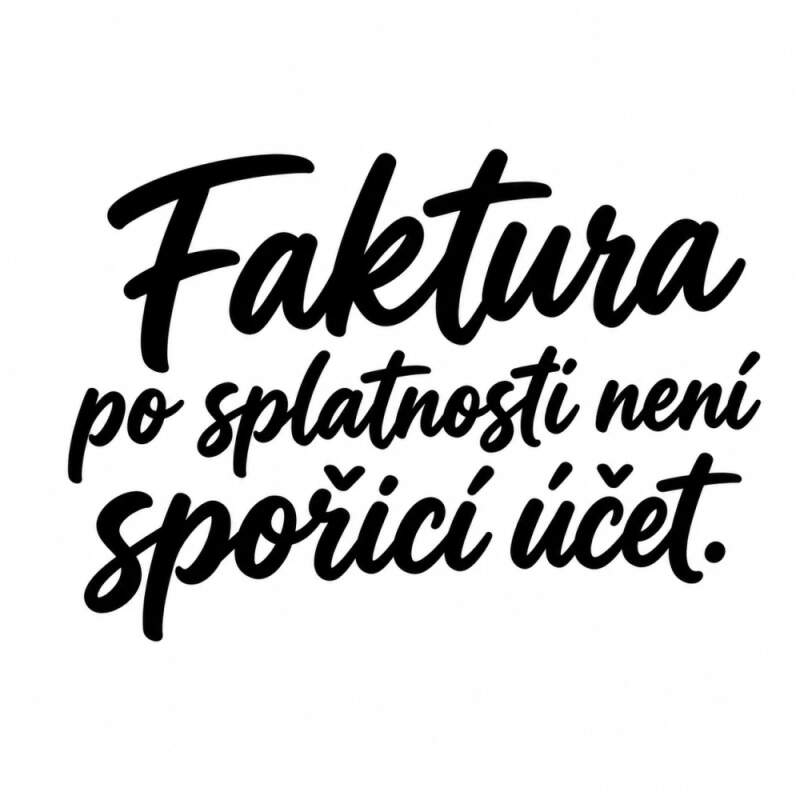 Levně Faktura po splatnosti není spořící účet (NAŽEHLOVAČKA)
