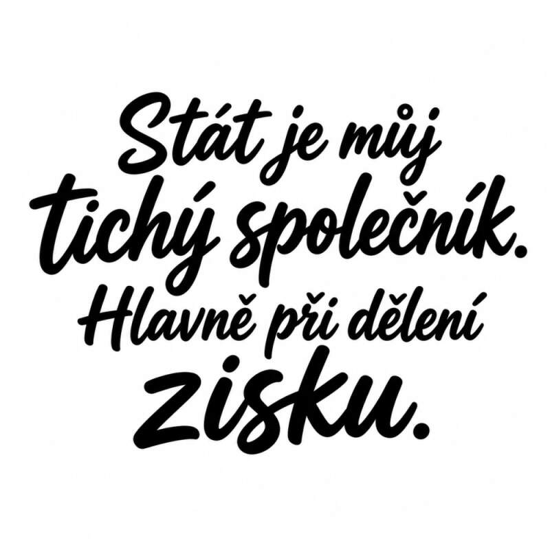 Levně Stát je můj tichý společník (NAŽEHLOVAČKA)