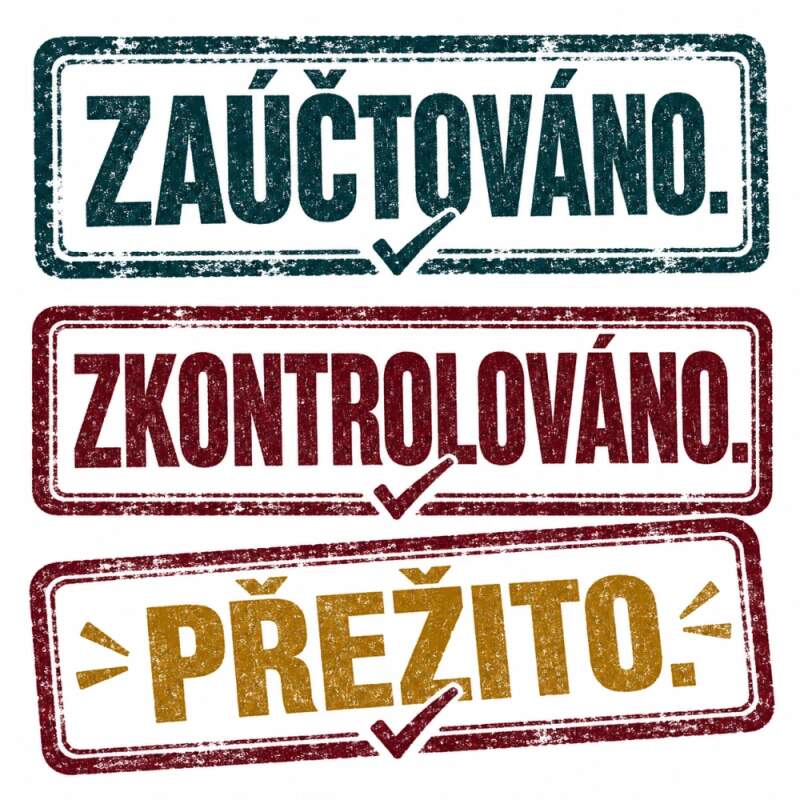 Levně Zaúčtováno, zkontrolováno, přežito (NAŽEHLOVAČKA)