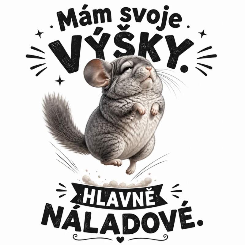Levně Činčila šedá hlava (NAŽEHLOVAČKA)